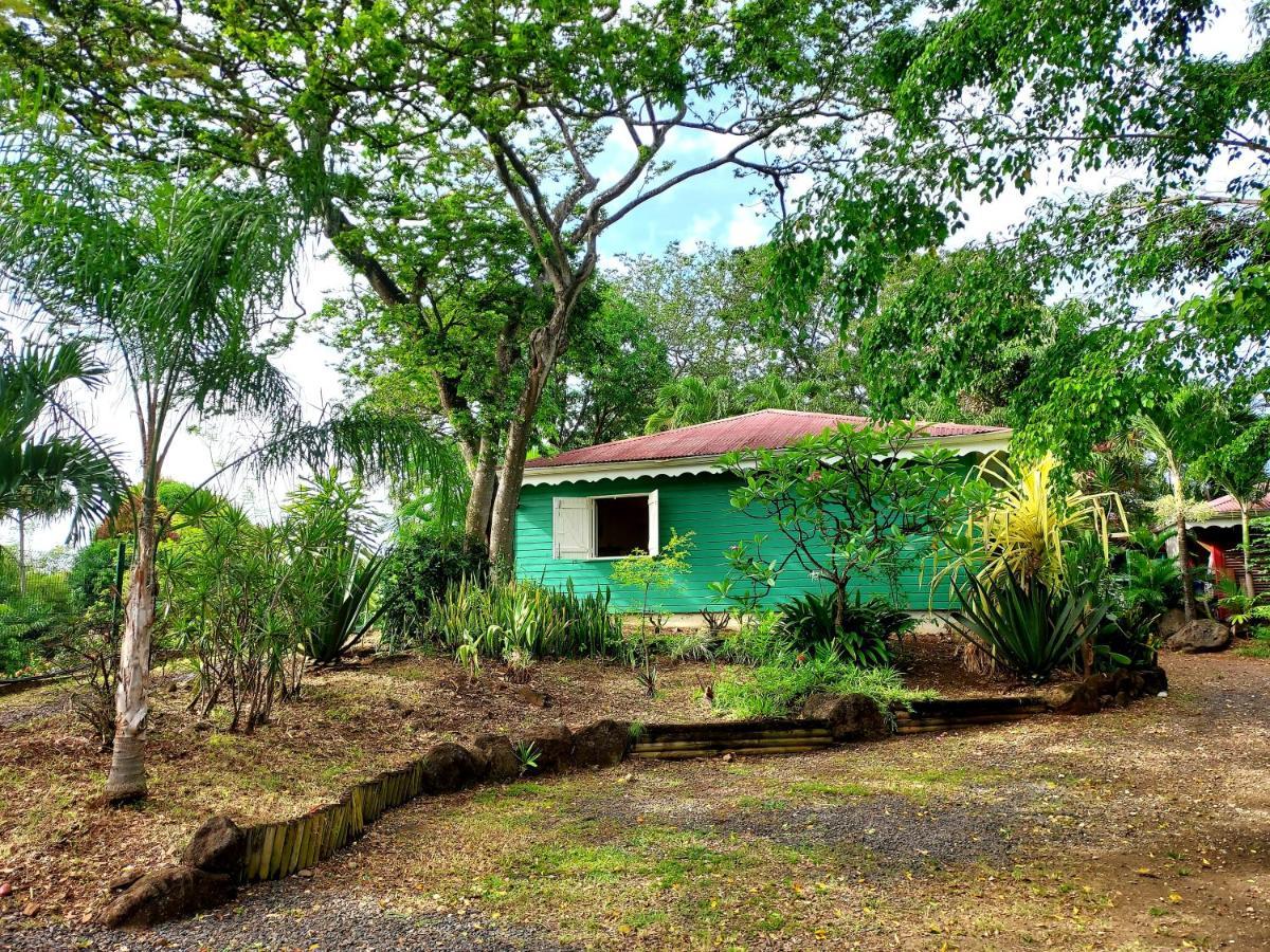 Bungalow Du Jardin Botanique De Deshaies Zewnętrze zdjęcie