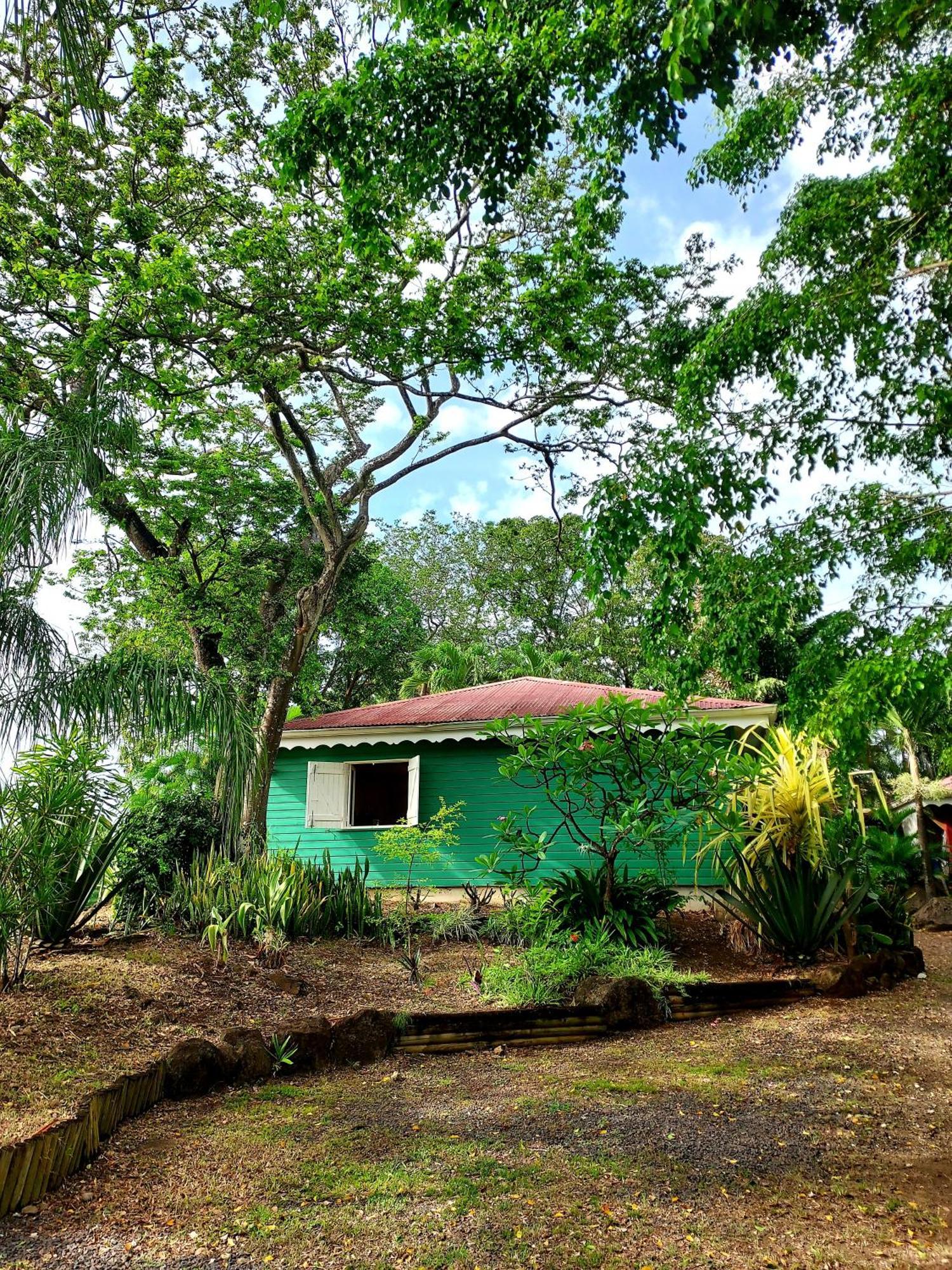 Bungalow Du Jardin Botanique De Deshaies Pokój zdjęcie